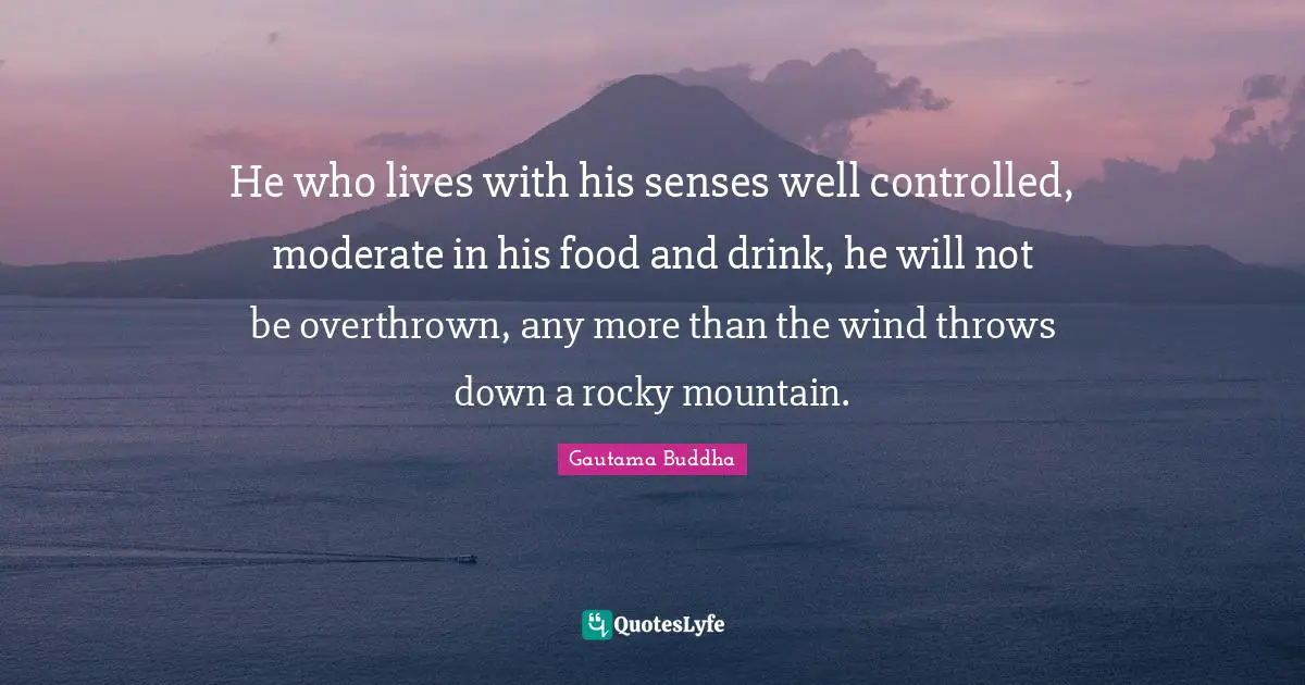 He who lives with his senses well controlled, moderate in his food and drink, he will not be overthrown, any more than the wind throws down a rocky mountain.