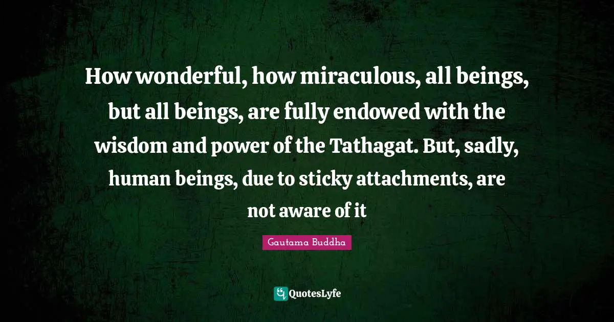How wonderful, how miraculous, all beings, but all beings, are fully endowed with the wisdom and power of the Tathagat. But, sadly, human beings, due to sticky attachments, are not aware of it