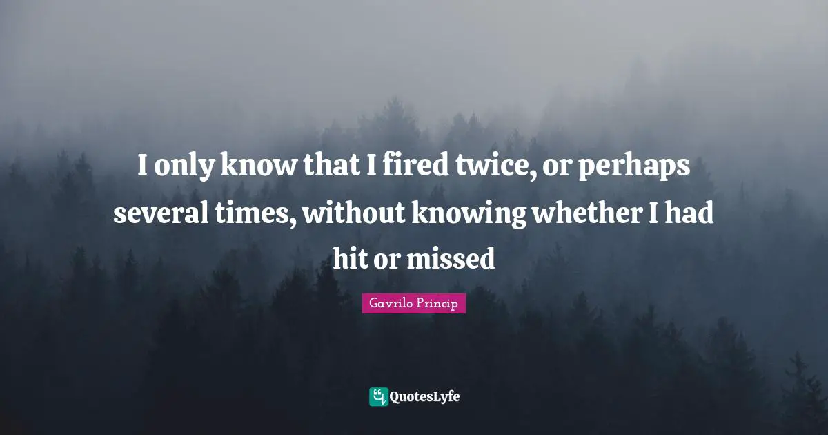 Downsizing Quotes: "I only know that I fired twice, or perhaps several times, without knowing whether I had hit or missed"