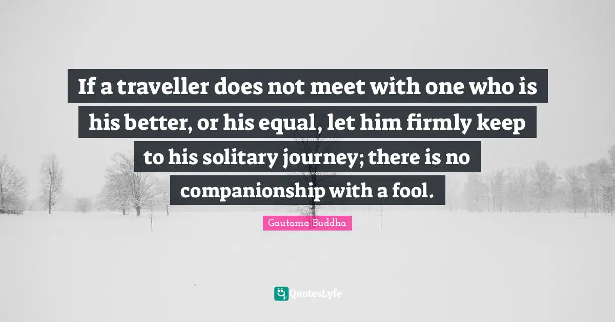 Traveller Quotes: "If a traveller does not meet with one who is his better, or his equal, let him firmly keep to his solitary journey; there is no companionship with a fool."
