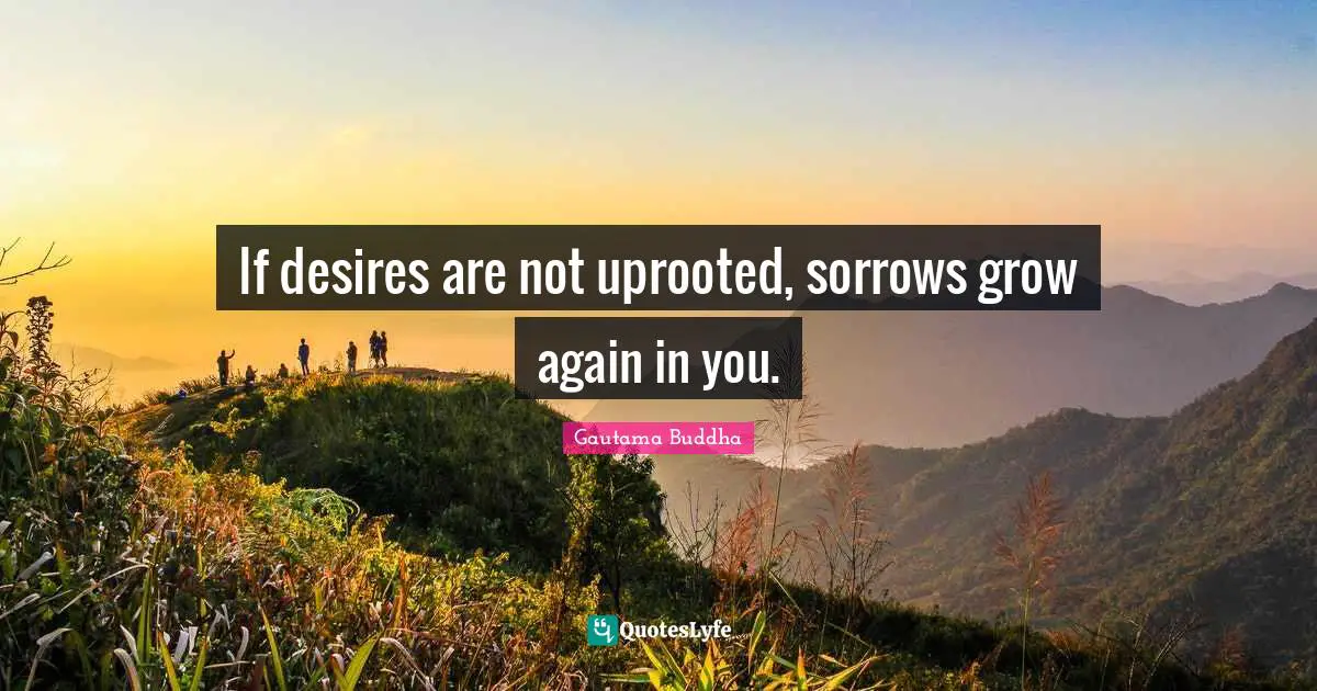 If desires are not uprooted, sorrows grow again in you.
