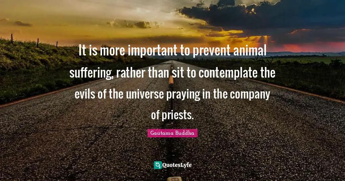 It is more important to prevent animal suffering, rather than sit to contemplate the evils of the universe praying in the company of priests.