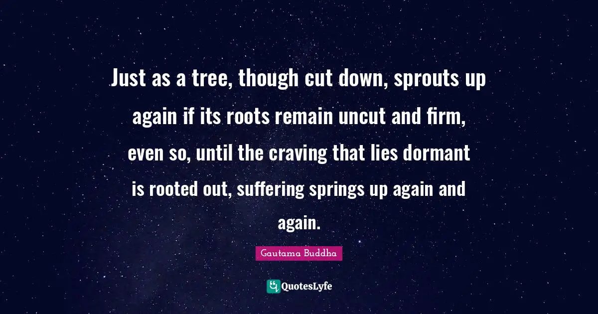 Craving Quotes: "Just as a tree, though cut down, sprouts up again if its roots remain uncut and firm, even so, until the craving that lies dormant is rooted out, suffering springs up again and again."