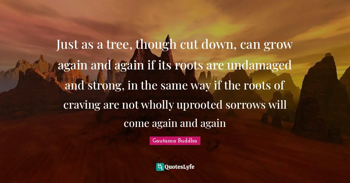 Craving Quotes: "Just as a tree, though cut down, can grow again and again if its roots are undamaged and strong, in the same way if the roots of craving are not wholly uprooted sorrows will come again and again"