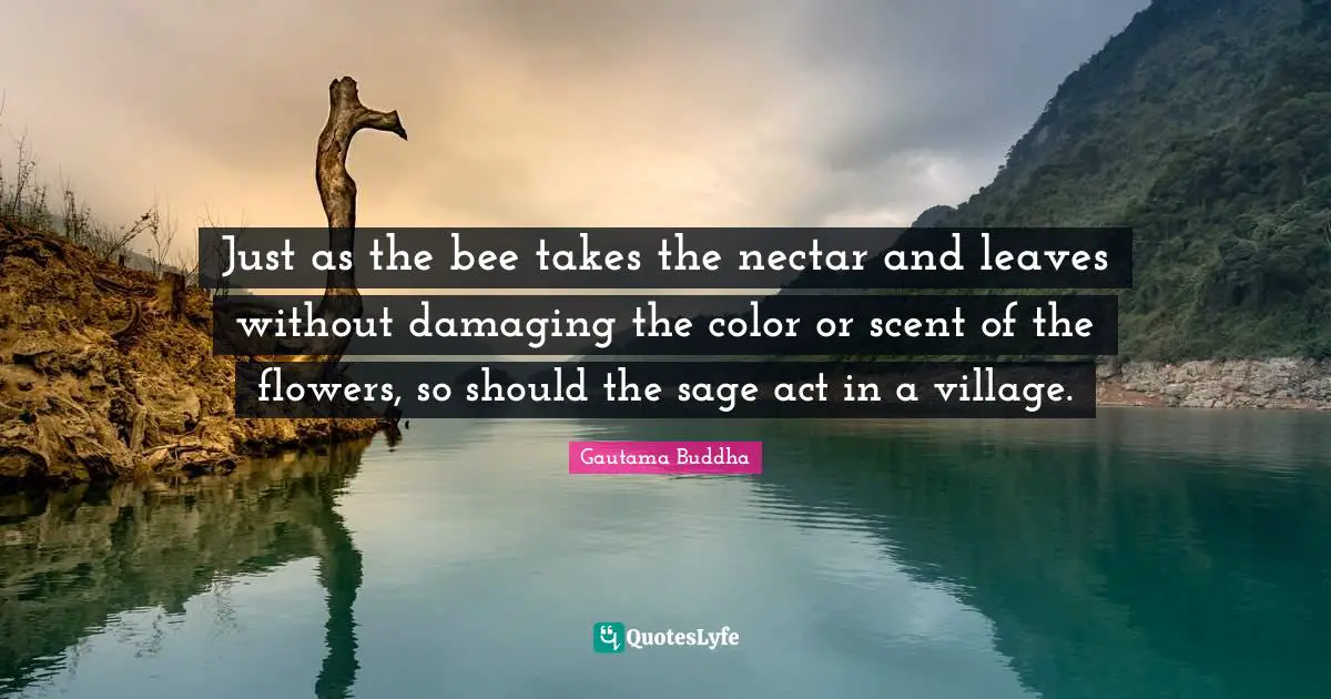 Just as the bee takes the nectar and leaves without damaging the color or scent of the flowers, so should the sage act in a village.
