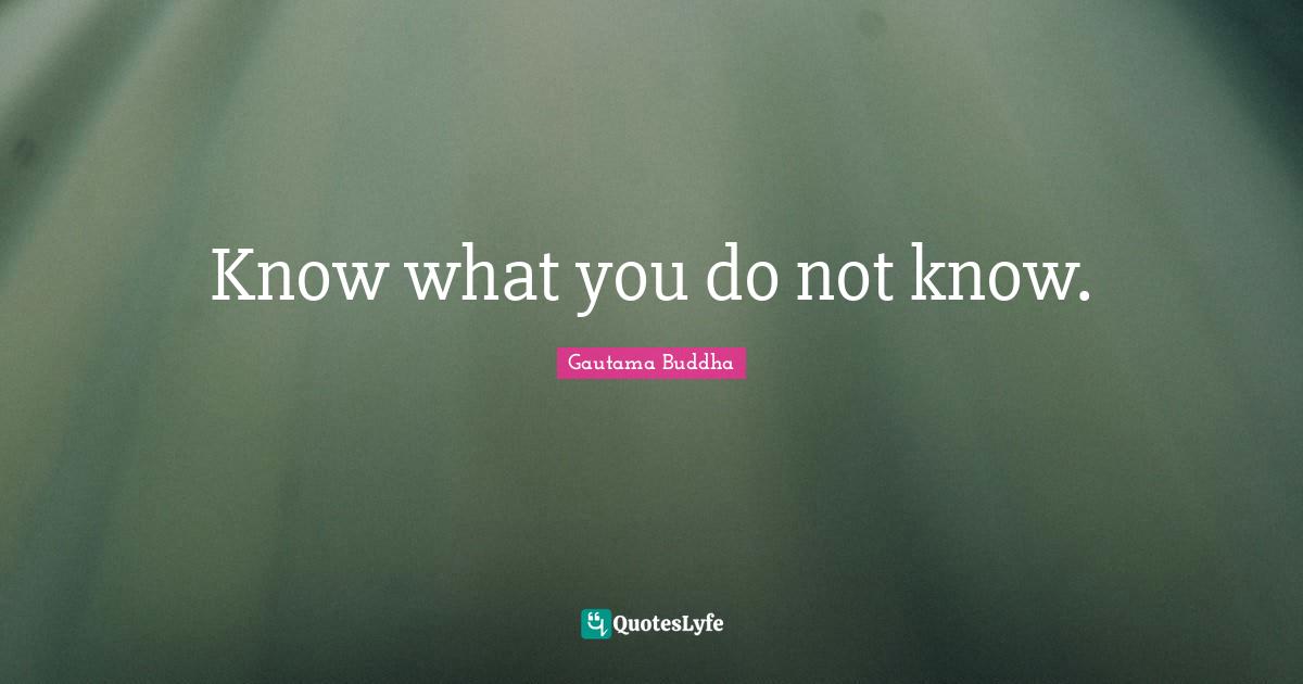 Not Knowing Quotes: "Know what you do not know."