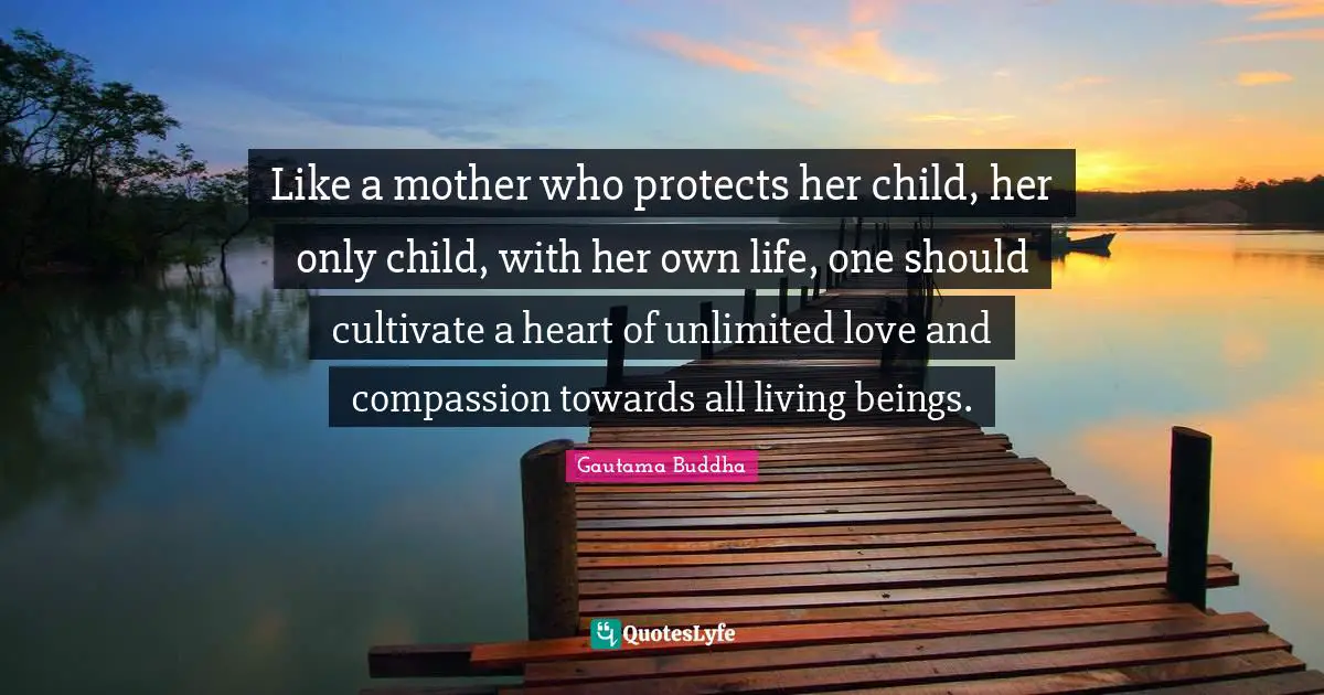 Like a mother who protects her child, her only child, with her own life, one should cultivate a heart of unlimited love and compassion towards all living beings.