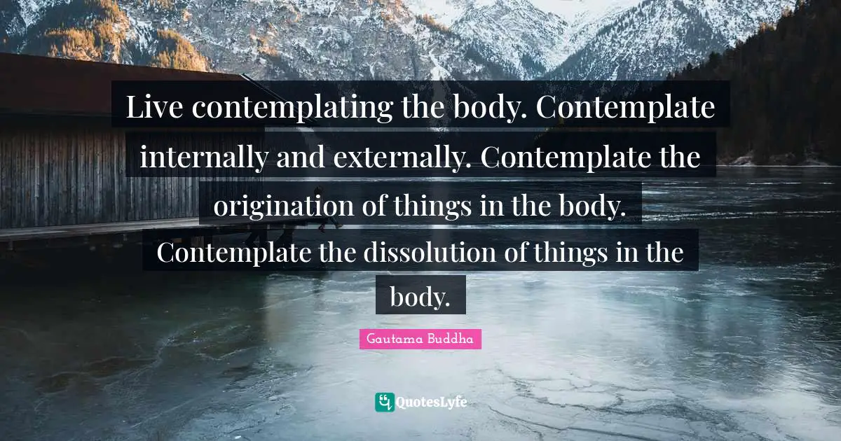 Live contemplating the body. Contemplate internally and externally. Contemplate the origination of things in the body. Contemplate the dissolution of things in the body.