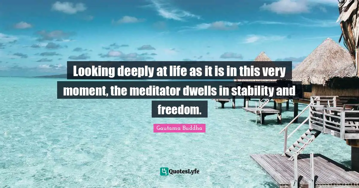 Looking deeply at life as it is in this very moment, the meditator dwells in stability and freedom.