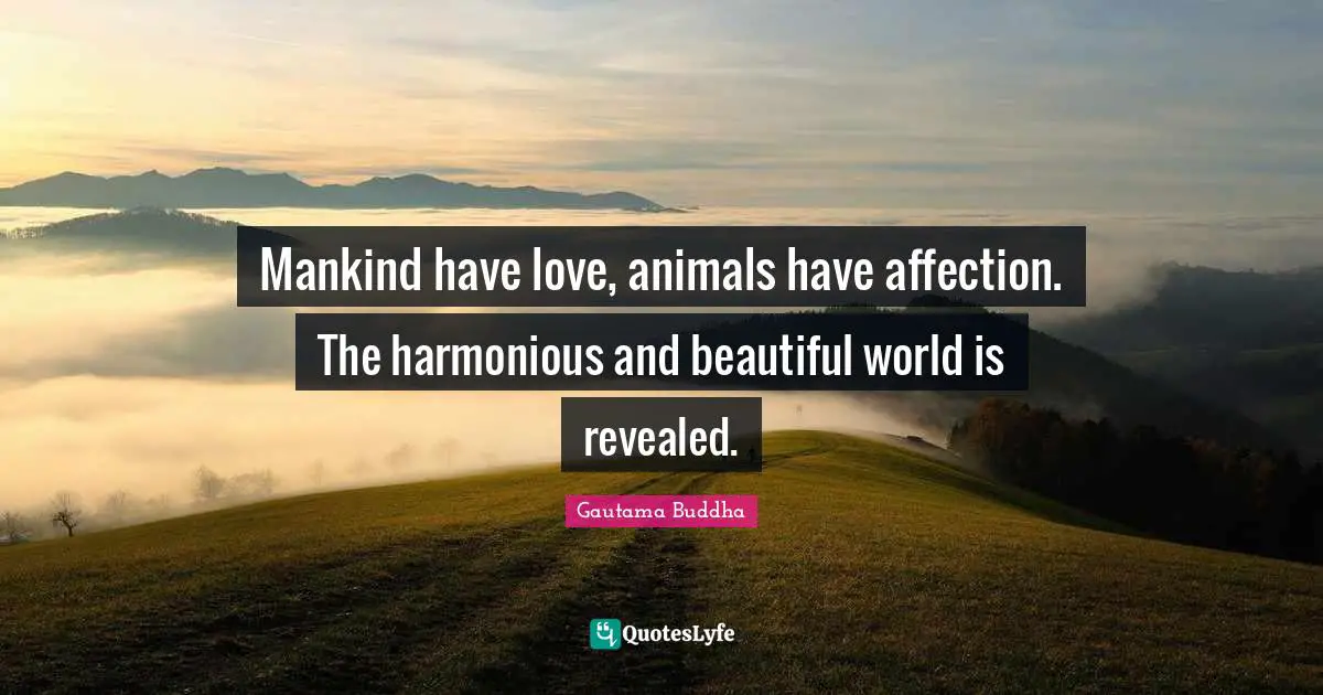 Mankind have love, animals have affection. The harmonious and beautiful world is revealed.