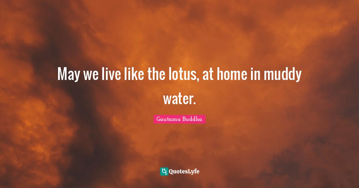 Muddy Quotes: "May we live like the lotus, at home in muddy water."