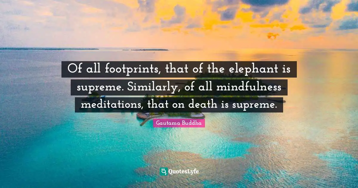 Elephants Quotes: "Of all footprints, that of the elephant is supreme. Similarly, of all mindfulness meditations, that on death is supreme."