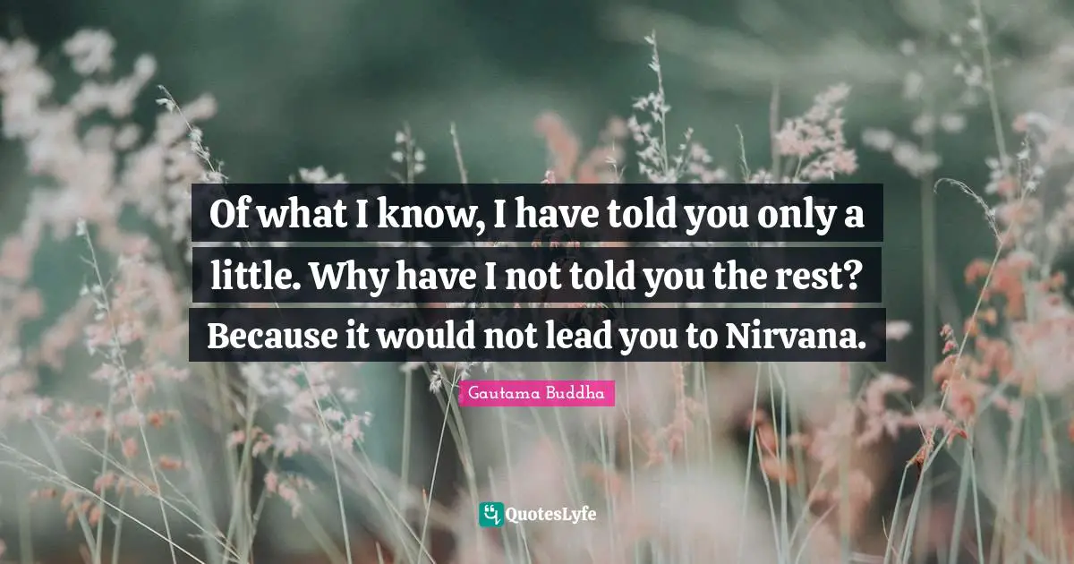 Of what I know, I have told you only a little. Why have I not told you the rest? Because it would not lead you to Nirvana.