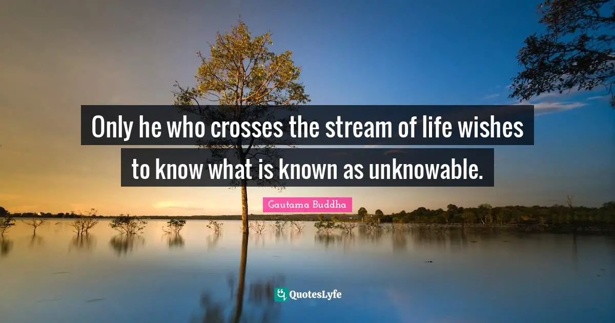 Only he who crosses the stream of life wishes to know what is known as unknowable.