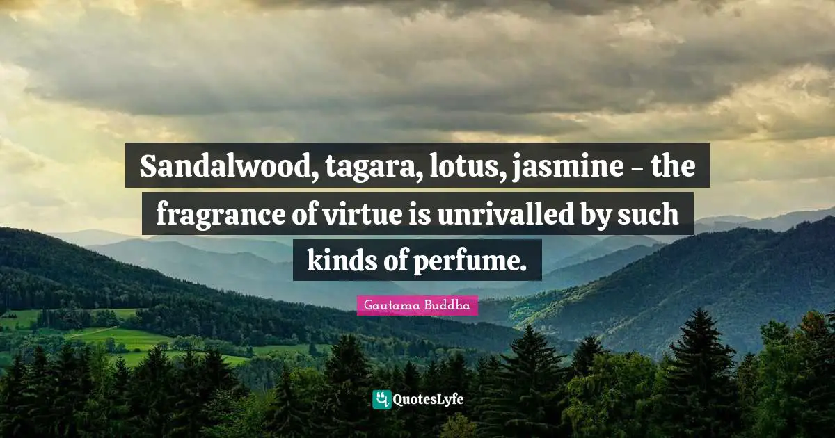 Sandalwood, tagara, lotus, jasmine - the fragrance of virtue is unrivalled by such kinds of perfume.