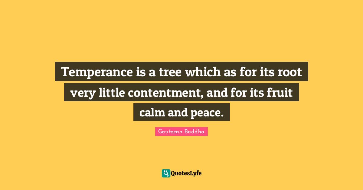 Contentment Quotes: "Temperance is a tree which as for its root very little contentment, and for its fruit calm and peace."