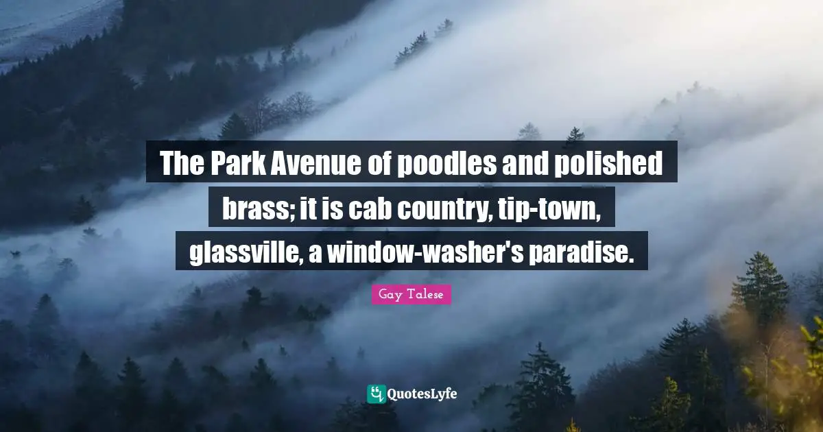 The Park Avenue of poodles and polished brass; it is cab country, tip-town, glassville, a window-washer's paradise.