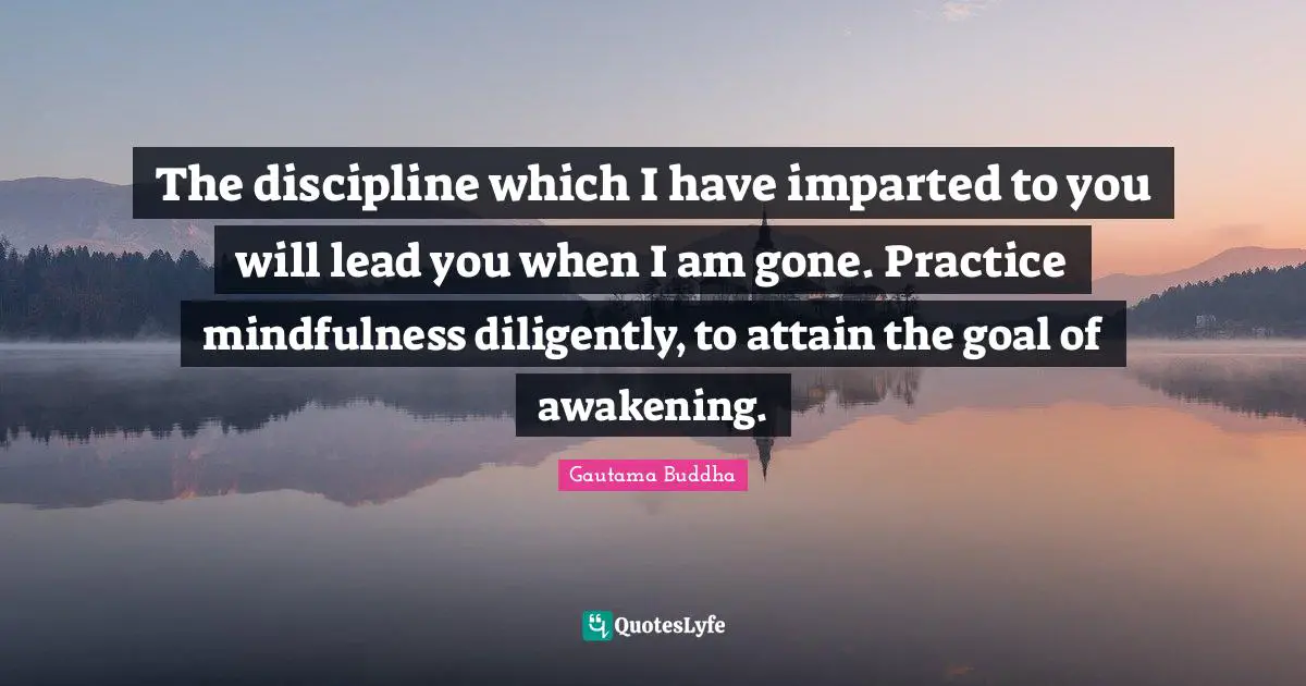 The discipline which I have imparted to you will lead you when I am gone. Practice mindfulness diligently, to attain the goal of awakening.