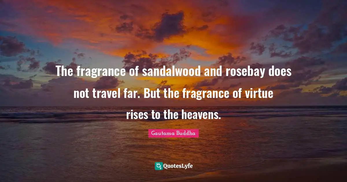 The fragrance of sandalwood and rosebay does not travel far. But the fragrance of virtue rises to the heavens.
