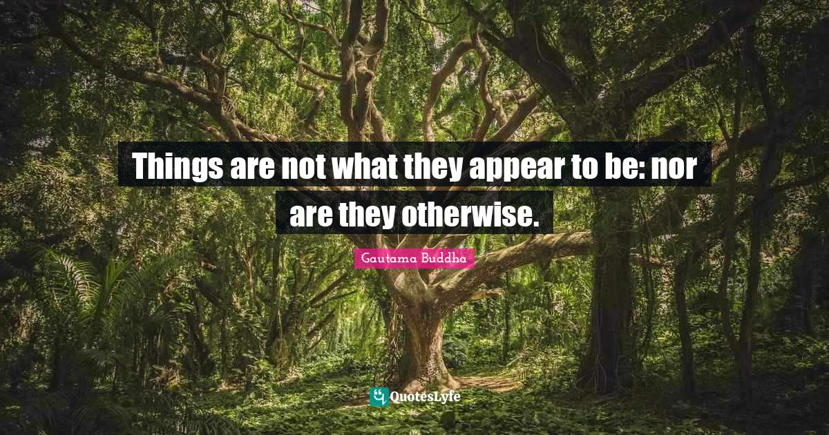 Things are not what they appear to be: nor are they otherwise.