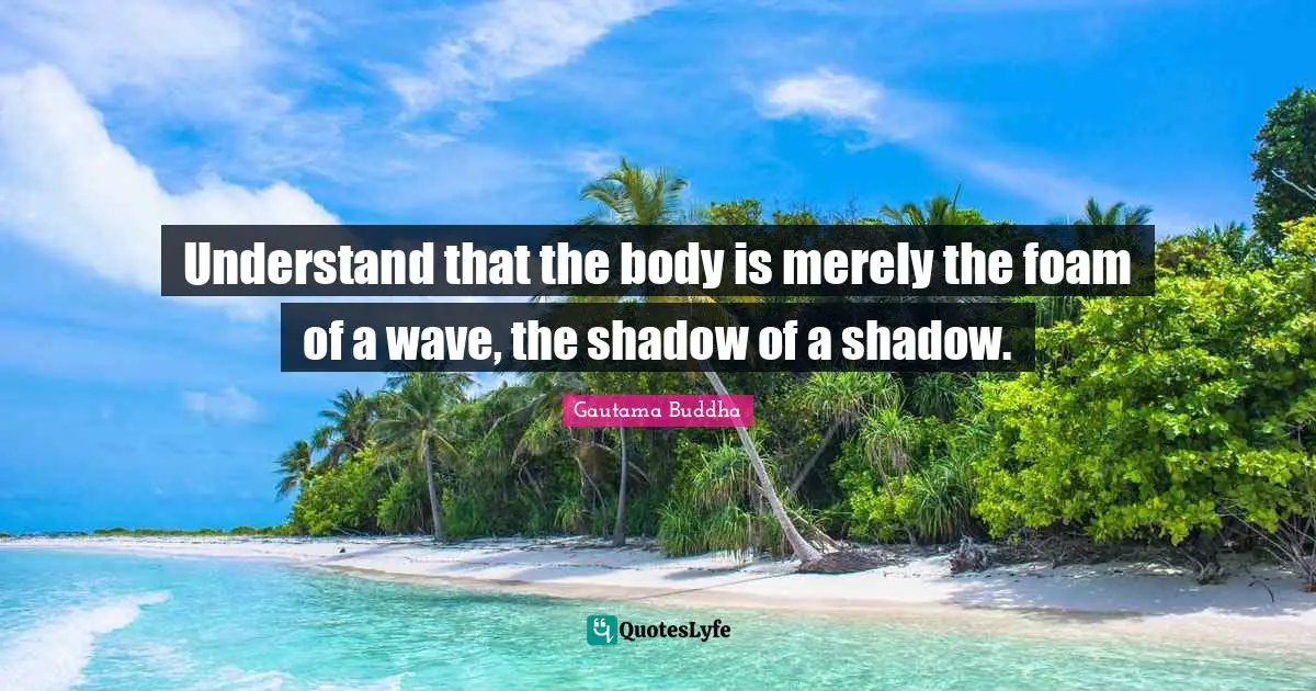 Understand that the body is merely the foam of a wave, the shadow of a shadow.