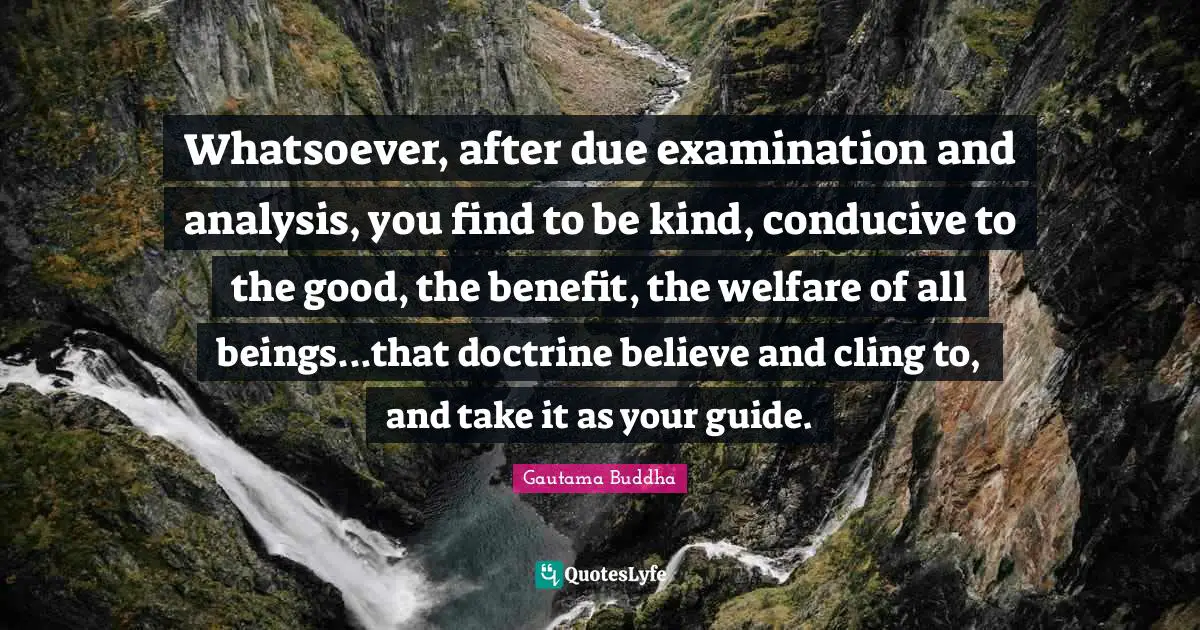 Whatsoever, after due examination and analysis, you find to be kind, conducive to the good, the benefit, the welfare of all beings...that doctrine believe and cling to, and take it as your guide.