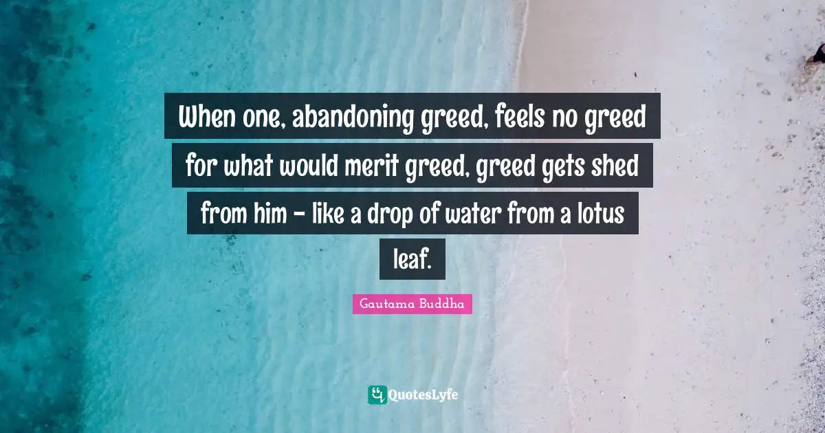 Drop Quotes: "When one, abandoning greed, feels no greed for what would merit greed, greed gets shed from him - like a drop of water from a lotus leaf."