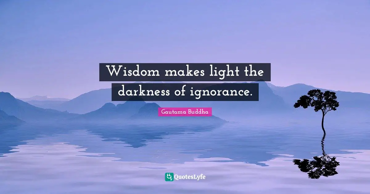 Wisdom makes light the darkness of ignorance.