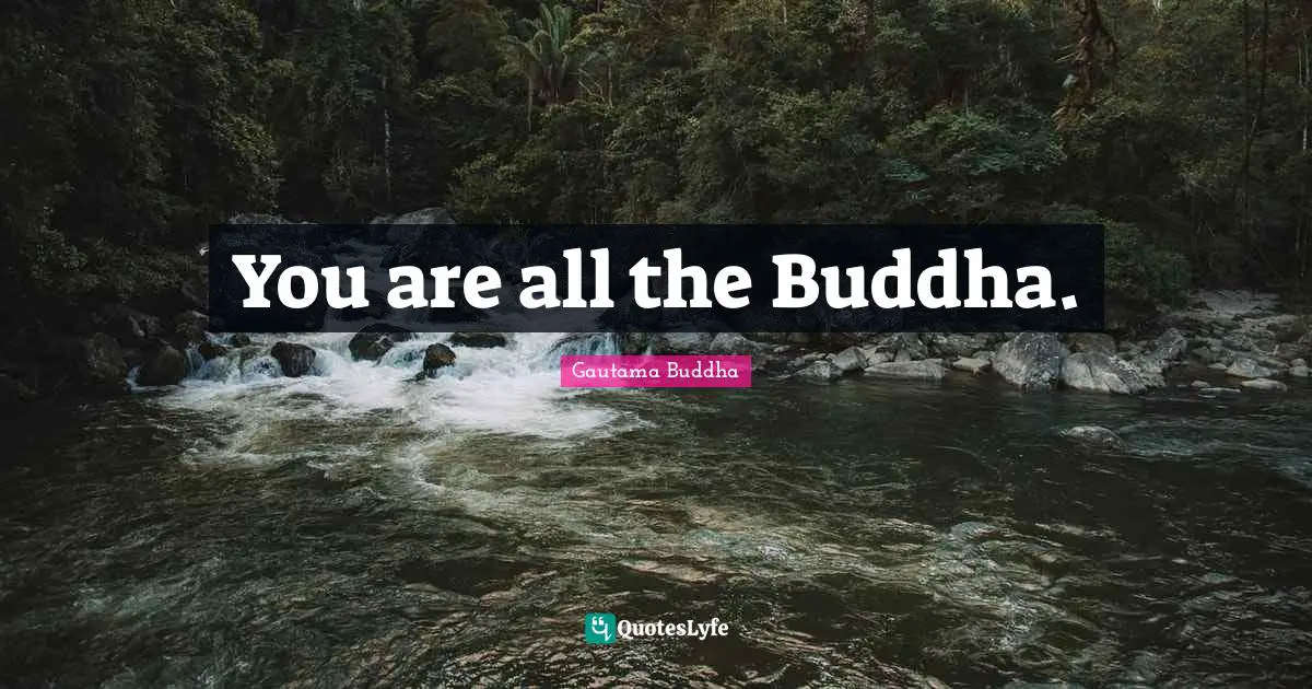 You are all the Buddha.