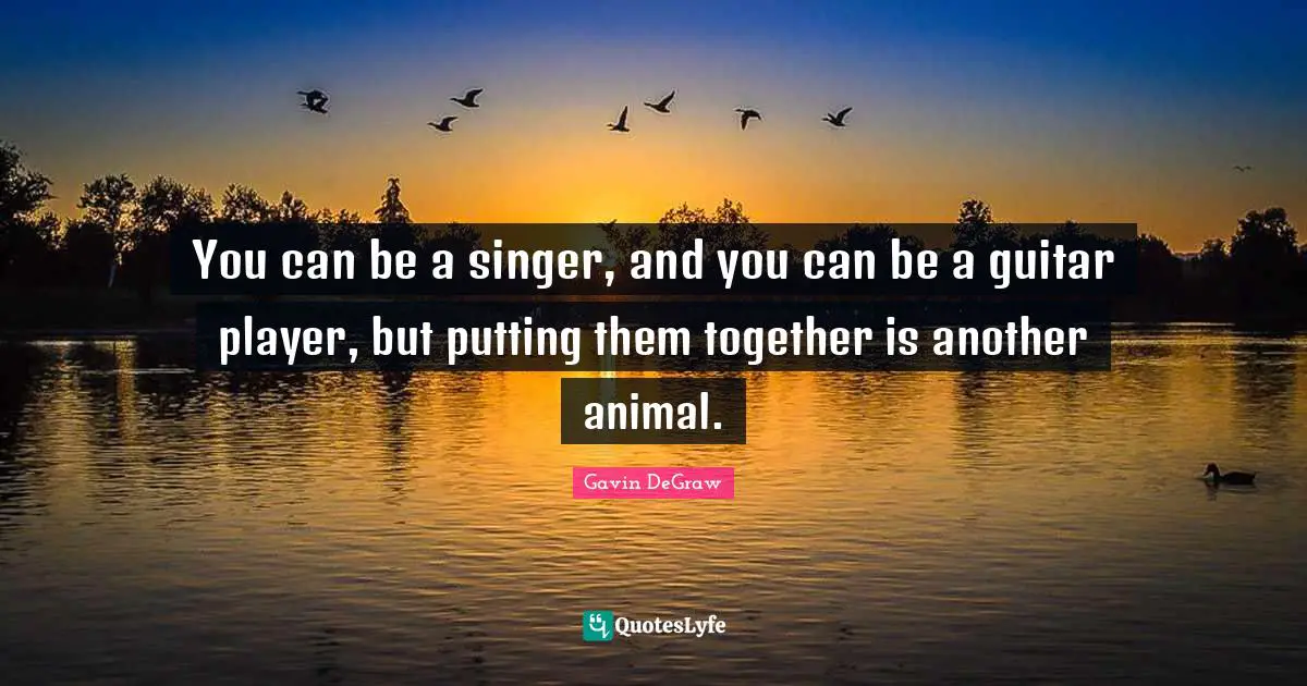 Gavin DeGraw Quotes: "You can be a singer, and you can be a guitar player, but putting them together is another animal."