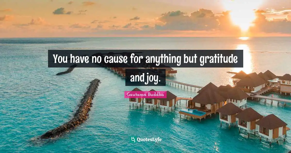 You have no cause for anything but gratitude and joy.