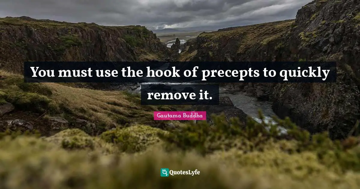 You must use the hook of precepts to quickly remove it.