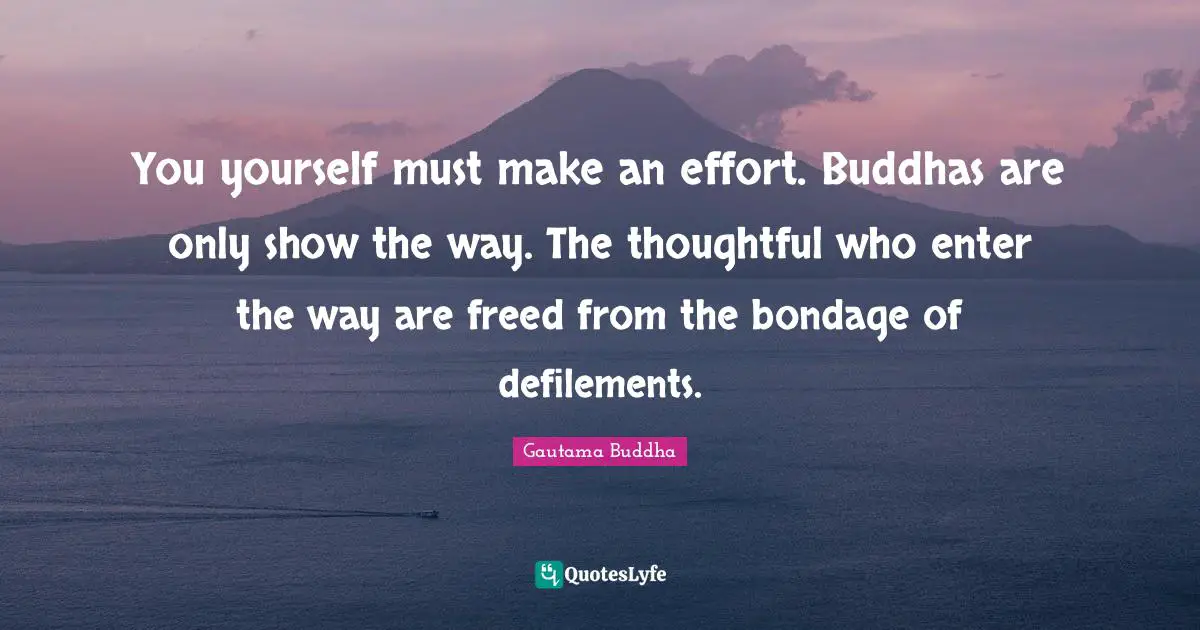 You yourself must make an effort. Buddhas are only show the way. The thoughtful who enter the way are freed from the bondage of defilements.