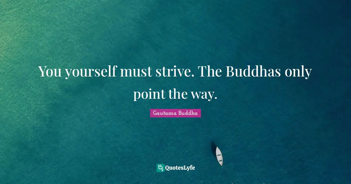 You yourself must strive. The Buddhas only point the way.