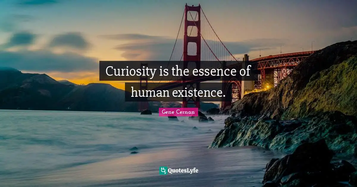 Existence Quotes: "Curiosity is the essence of human existence."