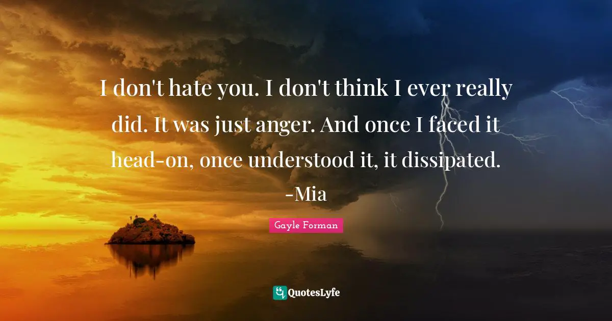 I don't hate you. I don't think I ever really did. It was just anger. And once I faced it head-on, once understood it, it dissipated. -Mia