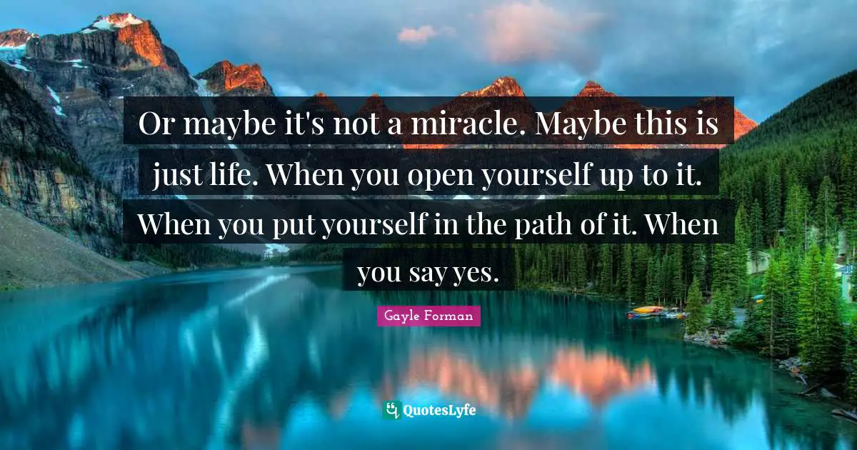 Or maybe it's not a miracle. Maybe this is just life. When you open yourself up to it. When you put yourself in the path of it. When you say yes.