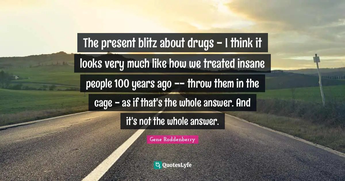 The present blitz about drugs - I think it looks very much like how we treated insane people 100 years ago -- throw them in the cage - as if that's the whole answer. And it's not the whole answer.
