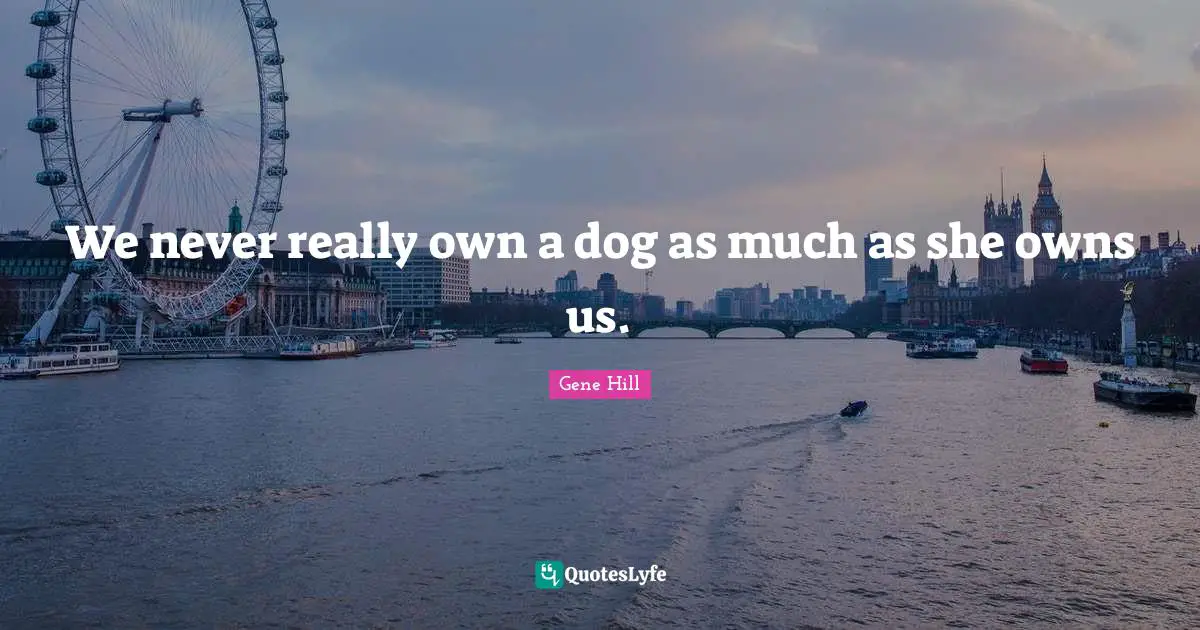 We never really own a dog as much as she owns us.