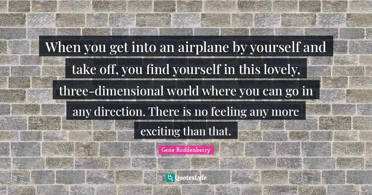 When you get into an airplane by yourself and take off, you find yourself in this lovely, three-dimensional world where you can go in any direction. There is no feeling any more exciting than that.