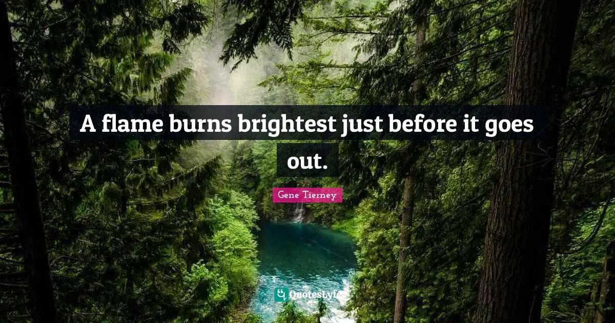 A flame burns brightest just before it goes out.