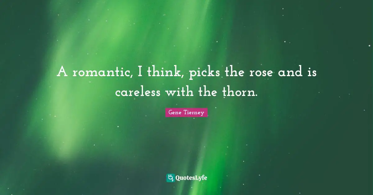 Careless Quotes: "A romantic, I think, picks the rose and is careless with the thorn."