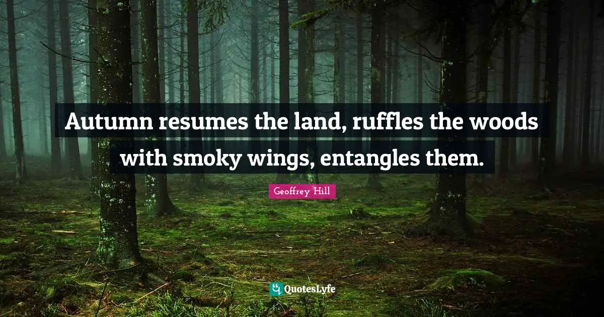 Autumn resumes the land, ruffles the woods with smoky wings, entangles them.