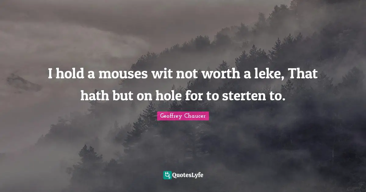 I hold a mouses wit not worth a leke, That hath but on hole for to sterten to.