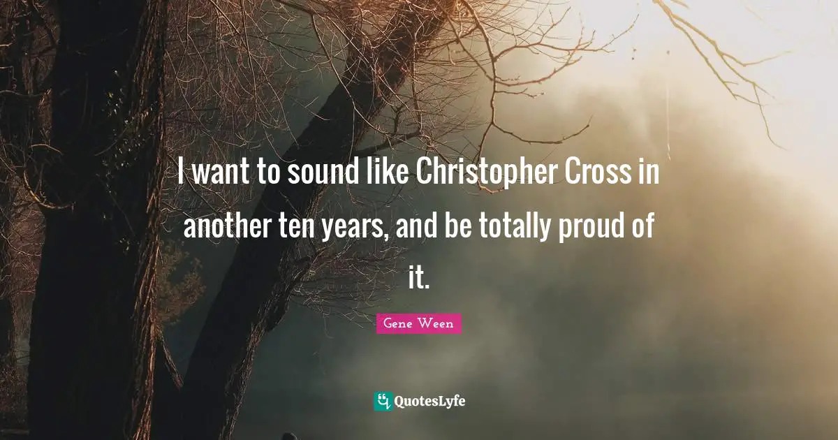 I want to sound like Christopher Cross in another ten years, and be totally proud of it.