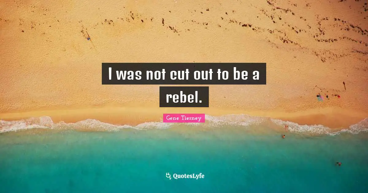 I was not cut out to be a rebel.