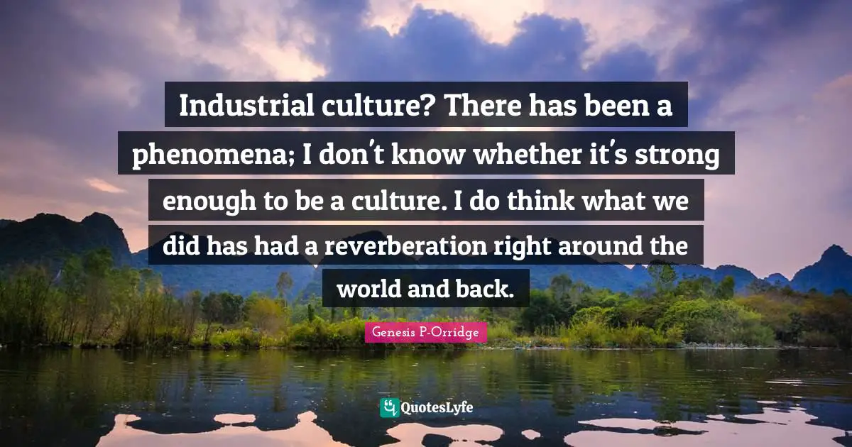 Industrial culture? There has been a phenomena; I don't know whether it's strong enough to be a culture. I do think what we did has had a reverberation right around the world and back.
