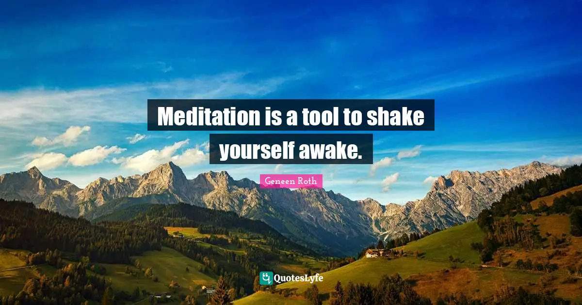 Geneen Roth Quotes: "Meditation is a tool to shake yourself awake."
