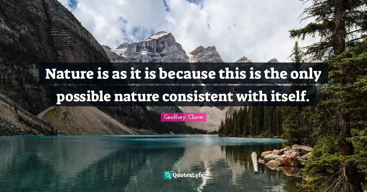 Nature is as it is because this is the only possible nature consistent with itself.
