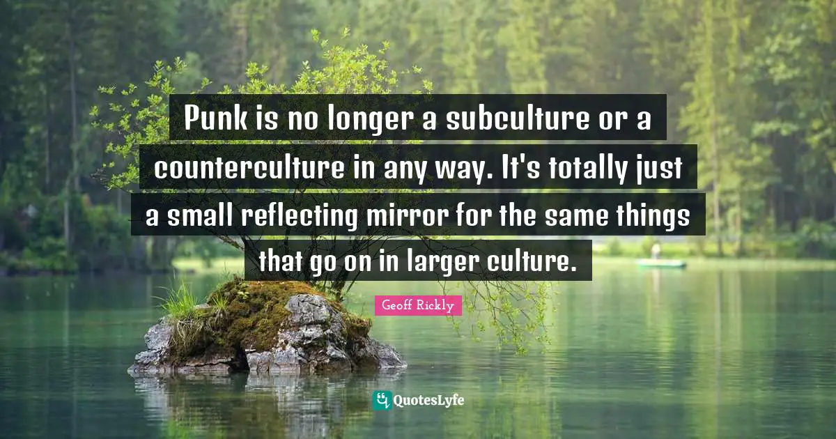 Punk is no longer a subculture or a counterculture in any way. It's totally just a small reflecting mirror for the same things that go on in larger culture.